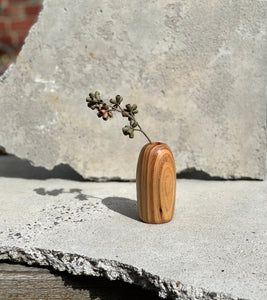 Birch - Twig Vase