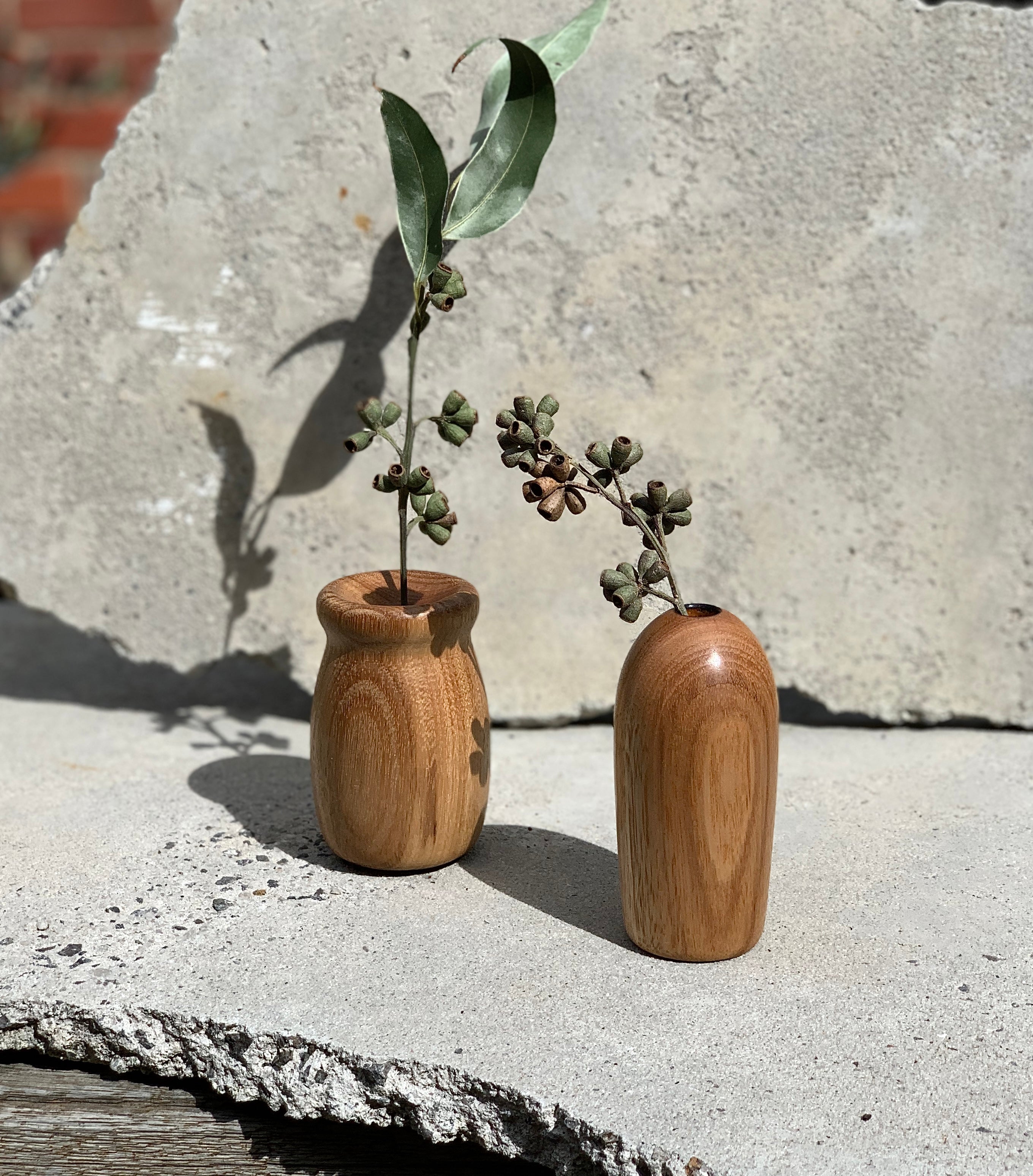 Tasmanian Oak Twig Vase Collection