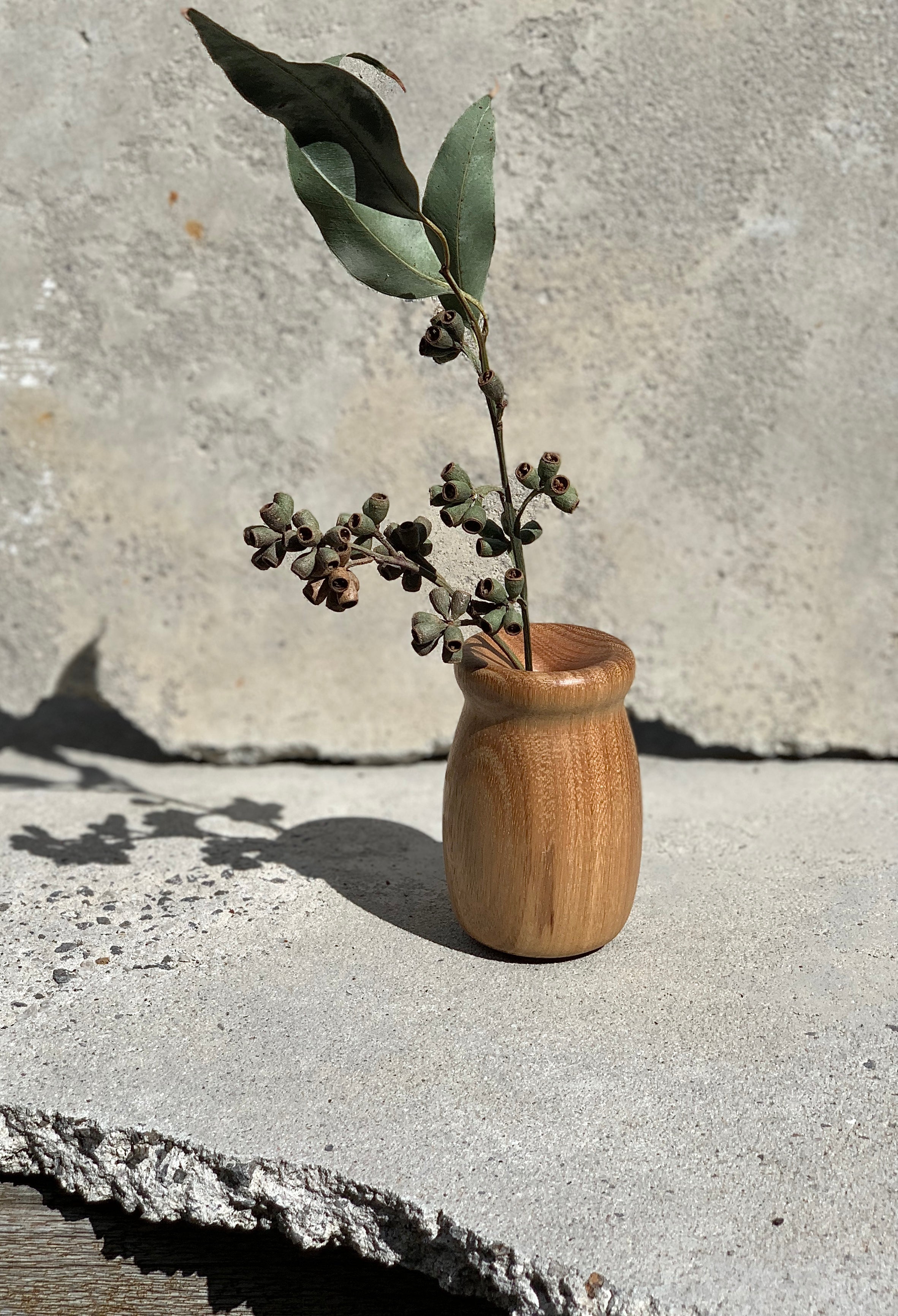 Tasmanian Oak Twig Vase Collection