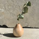 Load image into Gallery viewer, Twig Vase - Claret Ash
