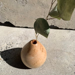 Load image into Gallery viewer, Twig Vase - Claret Ash
